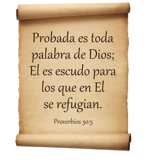 Proverbios 30:5