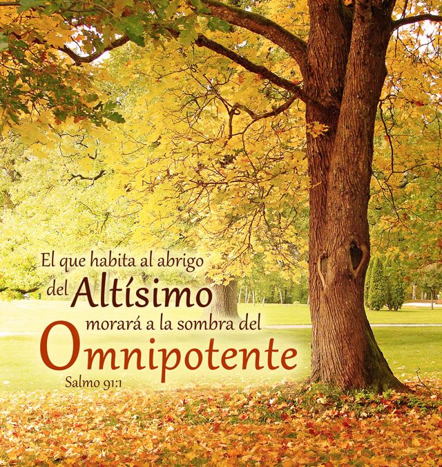 Salmo 91:1