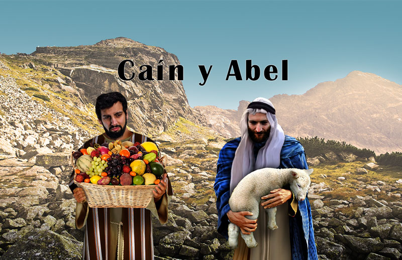 Lección 7
