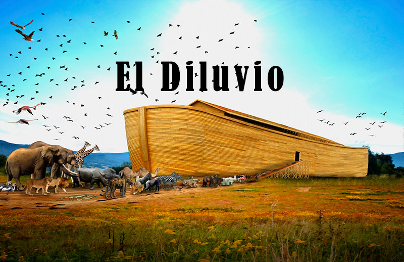 Lección 8
